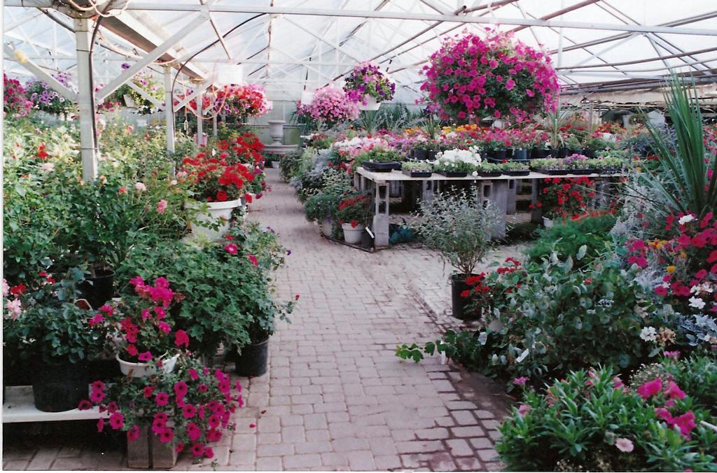 Meadow Acres Greenhouse Evansville WY 82636 3072351770